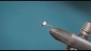 How to: Fly Tying | Root Beer Midge Emerger | Flies for Arkansas Trout