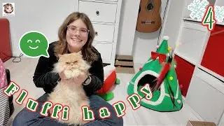 ADVENTSKALENDER 2025 - TAG 4 ⛄ Hannah &ouml;ffnet die Kalender und Fluffi ist happy 😸