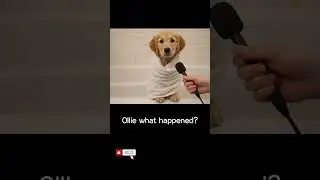 [Talking dog]Against My Will. 🐶💧