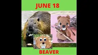Beaver Crochet Patterns