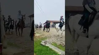 Prezentare Toniland Echitatie Concurs
