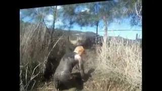 Tough Mudder Sydney 2012 - 3 Hours 16 Minutes