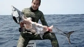 Spearfishing - Sharks Attack Spanish Mackerel (Underwater Ally Adventures)