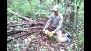 GINSENG HUNTING Ep. 3 in Cold Mountain, NC 2015 with TINCAN & MEALTICK
