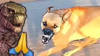 THESE ANIMALS ARE NOT PLAYING AROUND