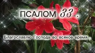 28 декабря 2025 г.