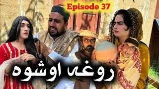 Rogha Aoshwa //Khpala Weena Drama Episode 37 By Charsadda Vines Director SadiqKhan 2024 #trending