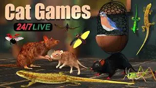 Cat TV Live 🐱 | Mouse Maze + Lizard & Bugs 🐭🐛 | 24/7 Cat Entertainment