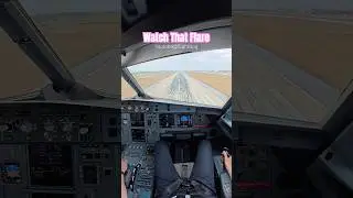 Watch That Flare #airbus #landing #pilot #msfs2020