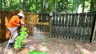 Wood Fence Cleaning Services | Restore Your Fence the Right Way