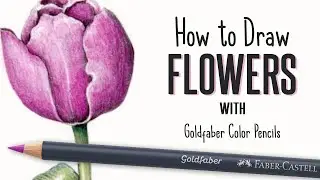 How to Draw Flowers with Goldfaber Color Pencils