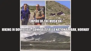 EMPIRE OF THE MUSK OX -hiking in Dovrefjell- Sunndalsfjella National Park, Norway