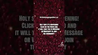 Webelongtogether.co ‼️‼️‼️ #harry #harrystyles #harries #weblongtogether #harrystylesvids