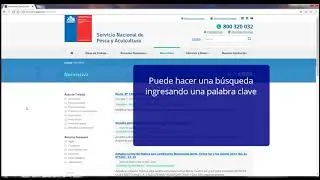 Como buscar normativa en web de Sernapesca
