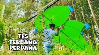 Tes Terbang Perdana Layangan Kak Sekaan #layanganmadura ###layangan 