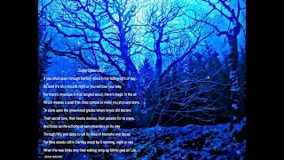 TRANQUIL PEACEFUL DARKLEY FOREST.  2021 NEW BEGINNINGS
