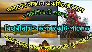🍁পলাশের সন্ধানে একদিনের ভ্রমণ 🍁 গড়পঞ্চকোট 🍁 বিহারীনাথ 🍁পাঞ্চেত 🍁 #1ksubscribers #1kcreator #1k