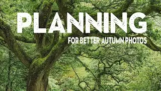 PHOTOGRAPHY PLANNING for BETTER AUTUMN PHOTOS