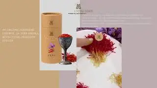 Modern & Colorful Product Brand Showcase Presentation 1