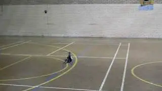 Trex 450SeV2 Indoor Fly