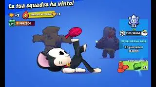 verdoni+push kit 27/09/2024 16:33
