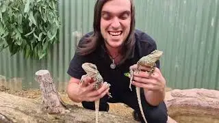 Dan fresh water reptiles