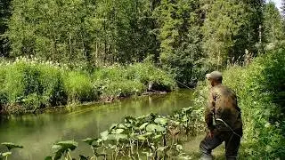 Ловля хариуса на небольшой речке #554