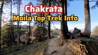 Moila Top Trek Chakrata | Hidden Snowfall Point Near Dehradun | Complete Travel Guide