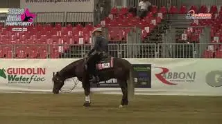 Derby 2020 - STEFANO CERUTTI & GD PEPTOS OLENA BLUE score 217,5