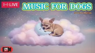LIVE: Calm & Soothe Your Dog&rsquo;s Anxiety in the Crate 🐶 | Gentle Music for Training & Relaxation 34