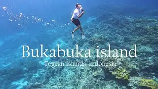 Reconnect   Private Island Resort  Buka Buka Island Togean Islands Sulawesi tengah Indonesia