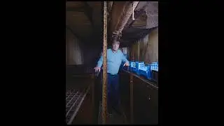 Walter Jansen (Amusca) over insectenkweek als oplossing voor de mestproblematiek.
