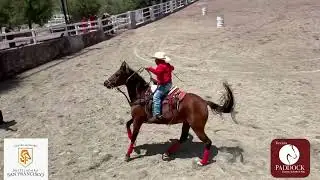2DA ETAPA CIRCUITO DEL ALTIPLANO,  NBHA HIDALGO  2025