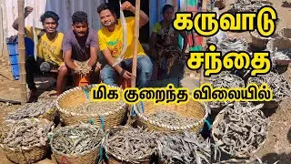 மொத்த விலையில் கருவாடு சந்தை । Dry Fish wholesale Market in Chennai। #Kasimedu #fishmarket #Karuvadu