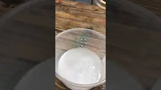 Floating bubbles on CO2! #bubbles #CO2 #scienceisfun #scienceiscool #scienceisawesome