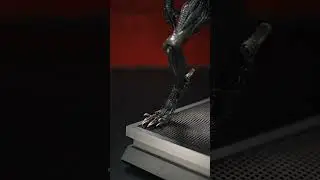 Alien Xenomorpho #sideshow #hottoys #alien