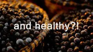 Acai Berry Detox