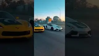 Pakistani Boys from Canada