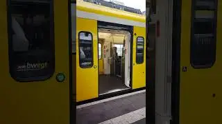 T&uuml;ren vom vom Coradia Continental (BR 1440) von DB Regio im bwegt Design