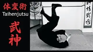 Ukemi Taihenjutsu Ninja (Breakfalls, Cadute)