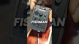 Memasang Preamp Equalizer Gitar Akustik Fishman