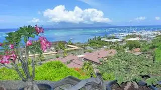 Balcons du Lotus - Punaauia - French Polynesia
