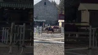 Spam time! #horse #equestrianjourney #horseenthusiast #equestrian #fypageシ #horsegirl #jesuslovesyou