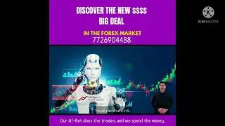 Intelligence Prime Capital Plan 77269 04488