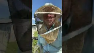 What&rsquo;s all the Buzz about?!