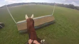 Bouckaert Farm 9.2025 - Beg.Novice - Bristal and Tate