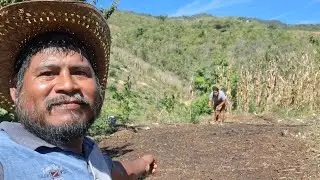 Asi sembramos pepiza con doña rosalina 🌱🤠👍