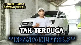 TAK TERDUGA, KENAPA MLETRE..? | UPDATE HARGA BAWANG MERAH BJM CHANNEL 