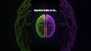 Polarity to Unity   Bentov & Hermetic Wisdom