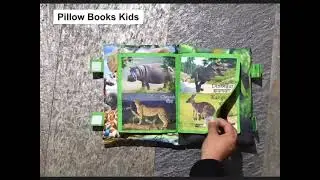 Peek a boo cloth jungle book for baby kids